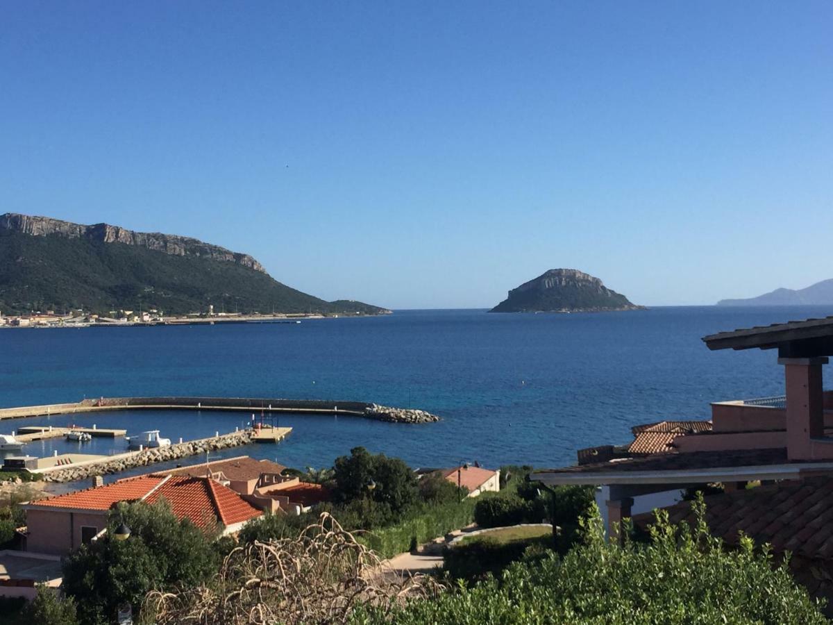 Blue Portrait House Apartamento Golfo Aranci Exterior foto