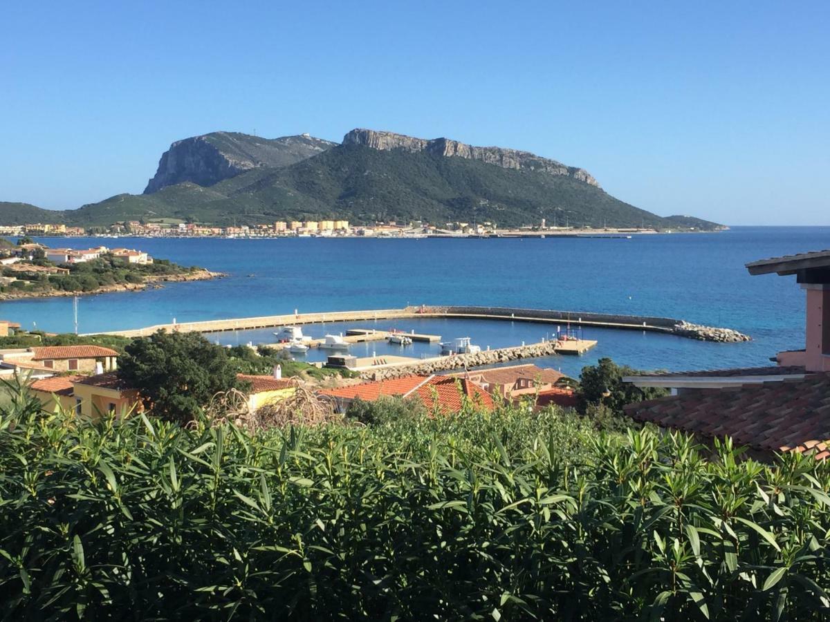 Blue Portrait House Apartamento Golfo Aranci Exterior foto