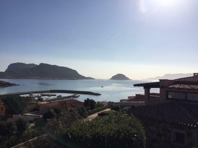 Blue Portrait House Apartamento Golfo Aranci Exterior foto