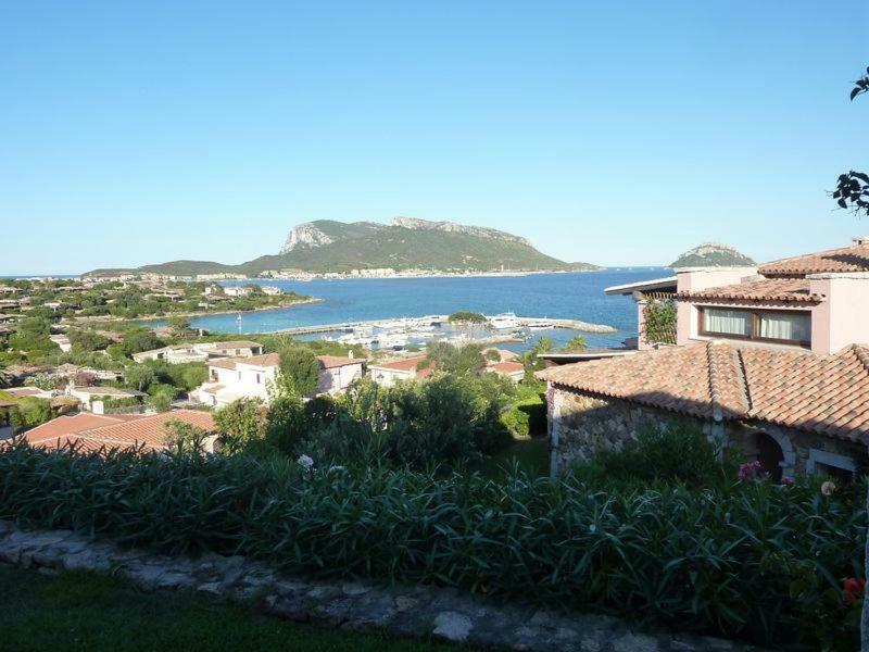 Blue Portrait House Apartamento Golfo Aranci Exterior foto