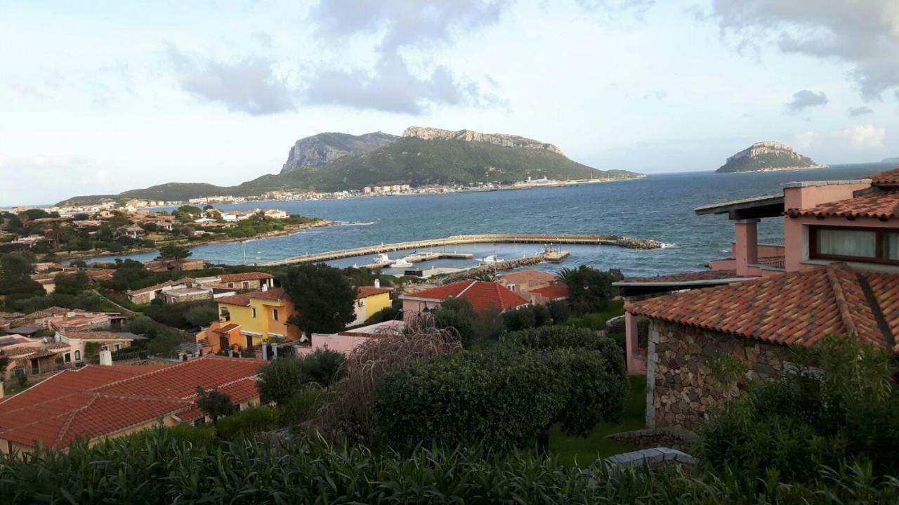 Blue Portrait House Apartamento Golfo Aranci Exterior foto